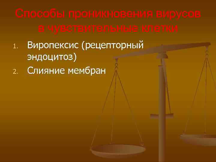 Способы проникновения вирусов в чувствительные клетки 1. 2. Виропексис (рецепторный эндоцитоз) Слияние мембран 