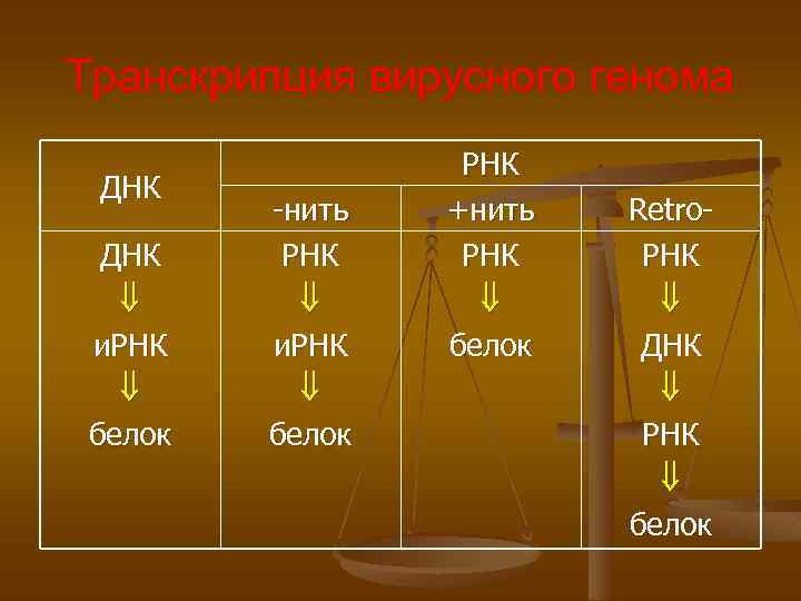 Транскрипция вирусного генома ДНК и. РНК белок -нить РНК и. РНК белок РНК +нить