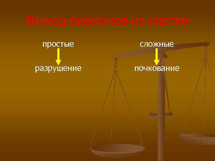 Выход вирионов из клетки простые сложные разрушение почкование 