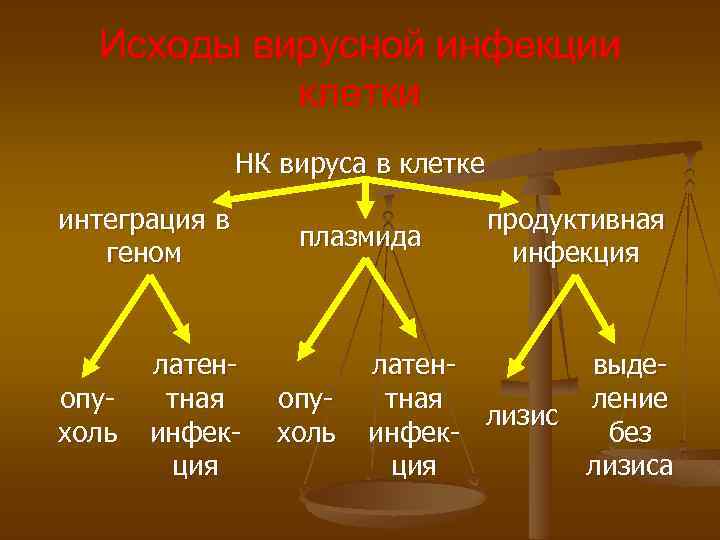 Исходы вирусной инфекции клетки НК вируса в клетке интеграция в геном опухоль латентная инфекция