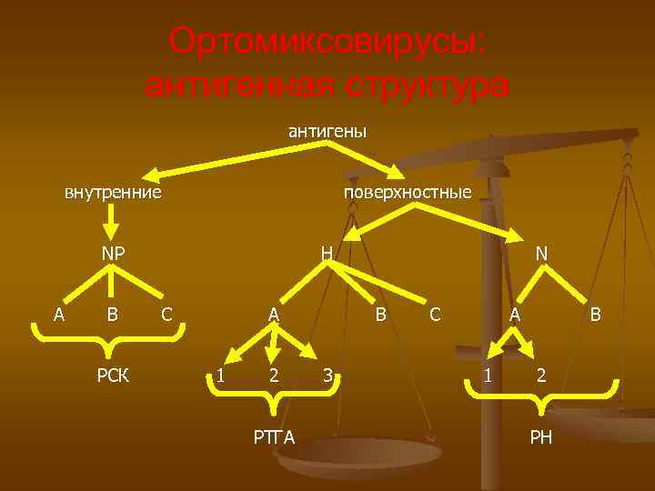 Ортомиксовирусы: антигенная структура антигены внутренние поверхностные NP A B РСК Н C A 1