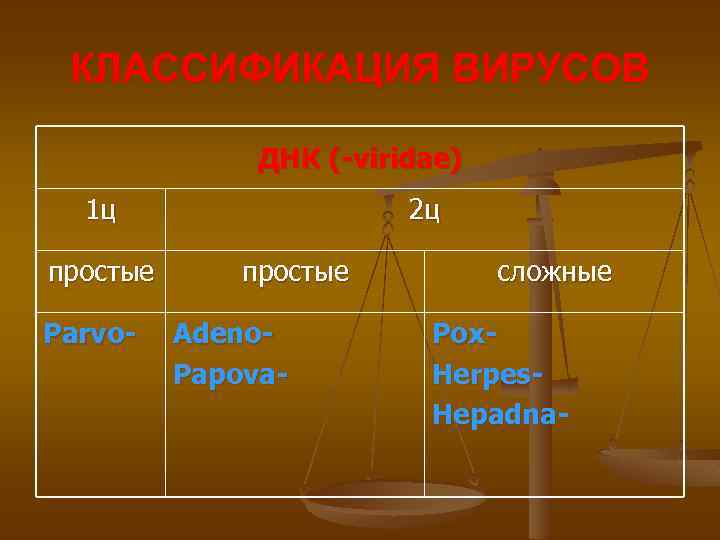 КЛАССИФИКАЦИЯ ВИРУСОВ ДНК (-viridae) 1 ц простые Parvo- 2 ц простые Adeno. Papova- сложные