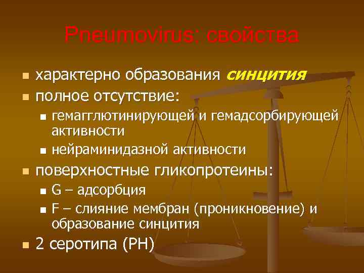 Pneumovirus: свойства n n характерно образования синцития полное отсутствие: гемагглютинирующей и гемадсорбирующей активности n