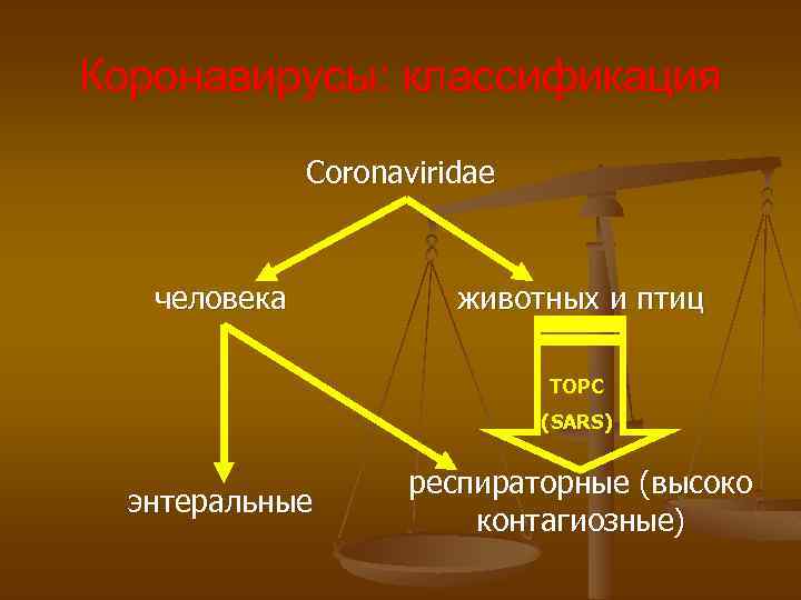Коронавирусы: классификация Coronaviridae человека животных и птиц ТОРС (SARS) энтеральные респираторные (высоко контагиозные) 