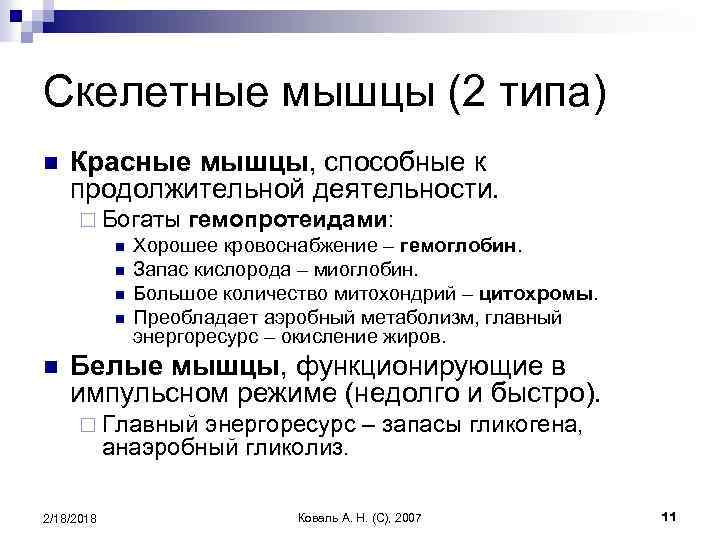 Скелетные мышцы (2 типа) n Красные мышцы, способные к продолжительной деятельности. ¨ Богаты гемопротеидами: