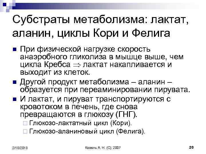 Субстраты метаболизма: лактат, аланин, циклы Кори и Фелига n n n При физической нагрузке