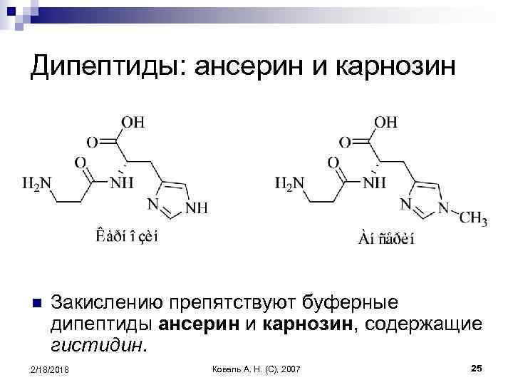 Дипептиды: ансерин и карнозин n Закислению препятствуют буферные дипептиды ансерин и карнозин, содержащие гистидин.