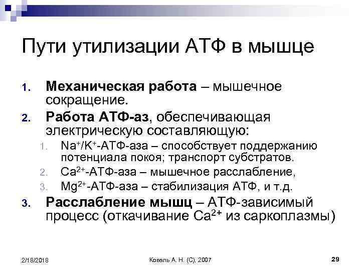 Пути утилизации АТФ в мышце 1. 2. Механическая работа – мышечное сокращение. Работа АТФ-аз,