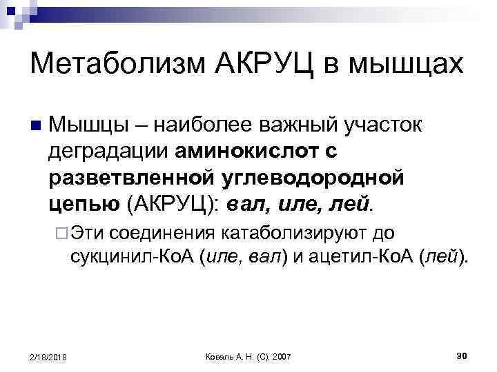 Метаболизм АКРУЦ в мышцах n Мышцы – наиболее важный участок деградации аминокислот с разветвленной