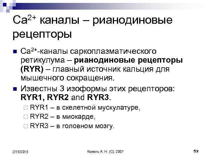 Ca 2+ каналы – рианодиновые рецепторы n n Ca 2+-каналы саркоплазматического ретикулума – рианодиновые