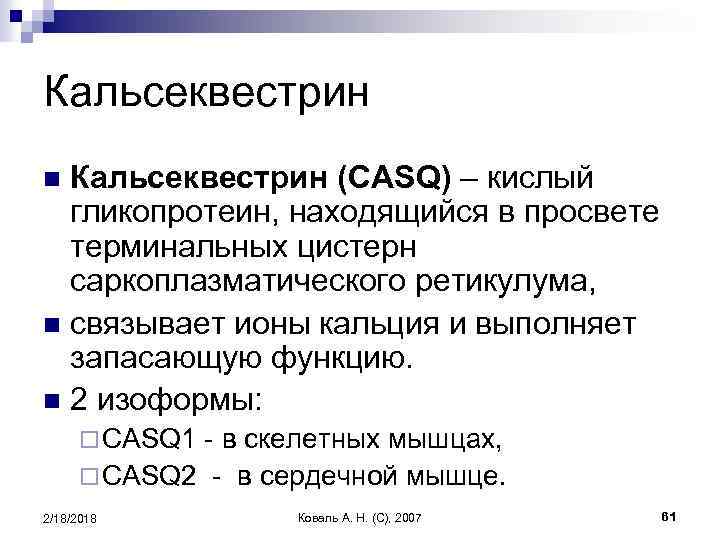 Кальсеквестрин (CASQ) – кислый гликопротеин, находящийся в просвете терминальных цистерн саркоплазматического ретикулума, n связывает