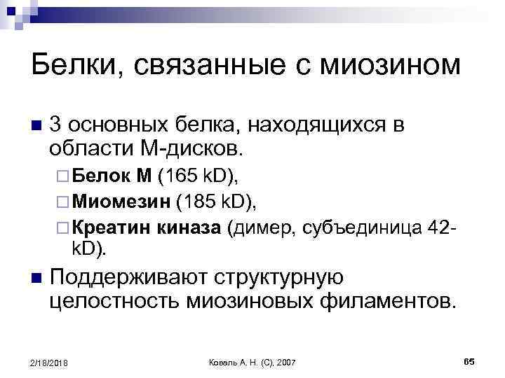 Белки, связанные с миозином n 3 основных белка, находящихся в области М-дисков. ¨ Белок