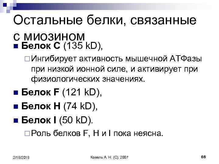 Остальные белки, связанные с миозином n Белок C (135 k. D), ¨ Ингибирует активность
