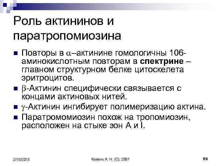 Роль актининов и паратропомиозина n n Повторы в a–актинине гомологичны 106 аминокислотным повторам в