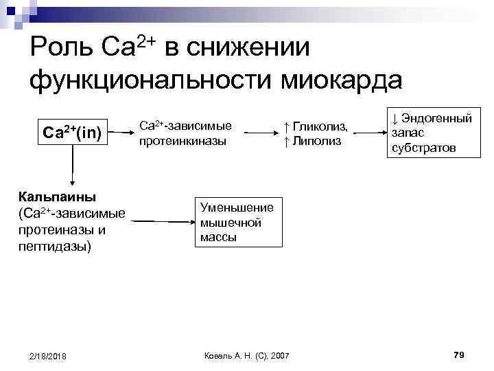 Роль Ca 2+ в снижении функциональности миокарда Ca 2+(in) Кальпаины (Ca 2+-зависимые протеиназы и