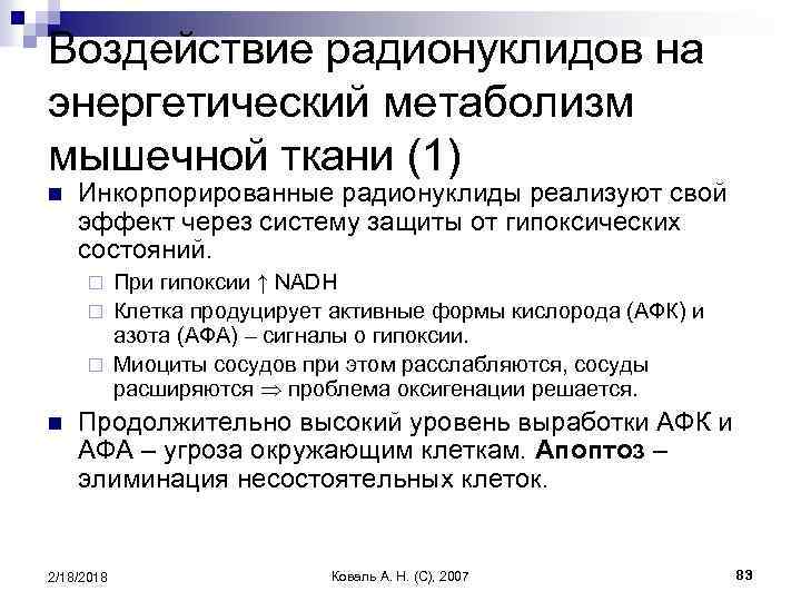 Воздействие радионуклидов на энергетический метаболизм мышечной ткани (1) n Инкорпорированные радионуклиды реализуют свой эффект