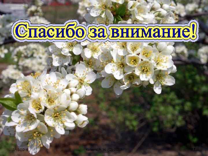 2/18/2018 Коваль А. Н. (C), 2007 87 