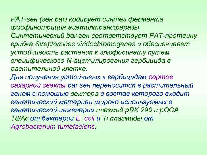 РАТ-ген (ген bar) кодирует синтез фермента фосфинотрицин ацетилтрансферазы. Синтетический bar-ген соответствует РАТ-протеину грибка Streptomices