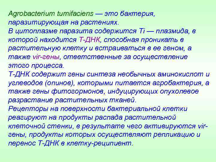 Agrobacterium tumifaciens — это бактерия, паразитирующая на растениях. В цитоплазме паразита содержится Ti —
