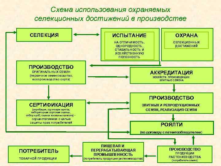 Схемы производства элиты зерновых культур работы проводимые в различных звеньях семеноводства