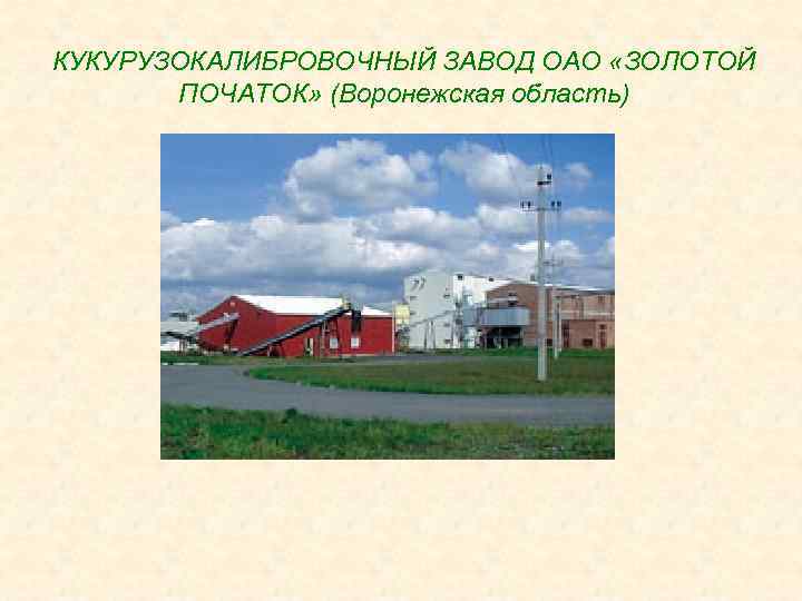 Учреждение 3. ООО кукурузокалибровочный завод золотой початок Воронеж. Золотой початок завод. Золотой початок Павловск завод. Тимашевск кукурузокалибровочный завод.