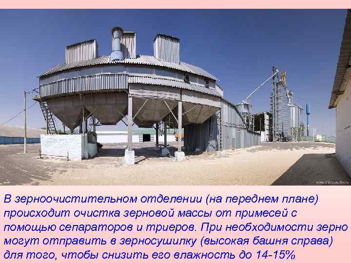 В зерноочистительном отделении (на переднем плане) происходит очистка зерновой массы от примесей с помощью