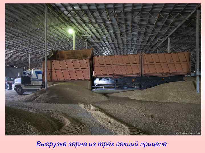 Выгрузка зерна из трёх секций прицепа 