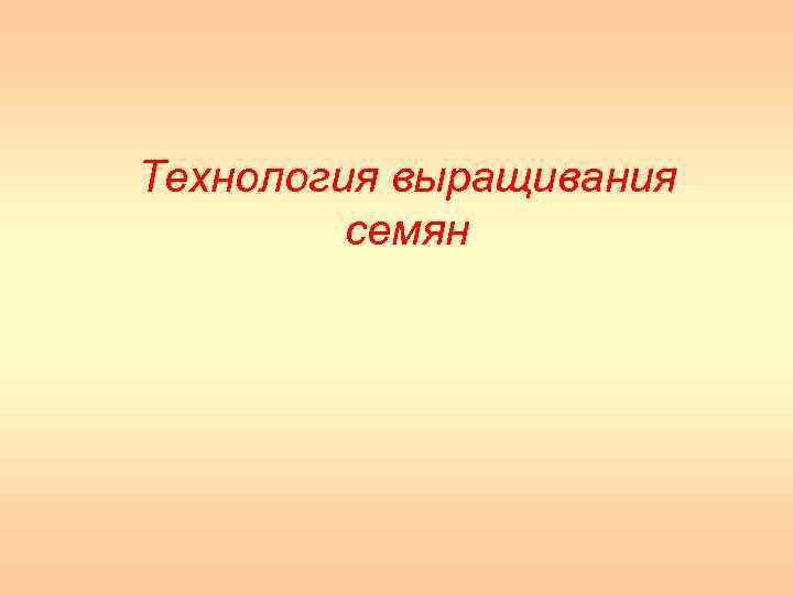 Технология выращивания семян 