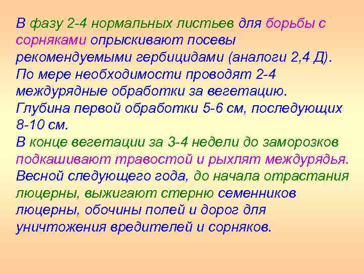 В фазу 2 4 нормальных листьев для борьбы с сорняками опрыскивают посевы рекомендуемыми гербицидами
