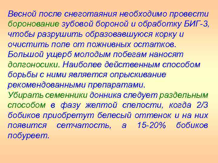 Весной после снеготаяния необходимо провести боронование зубовой бороной и обработку БИГ 3, чтобы разрушить