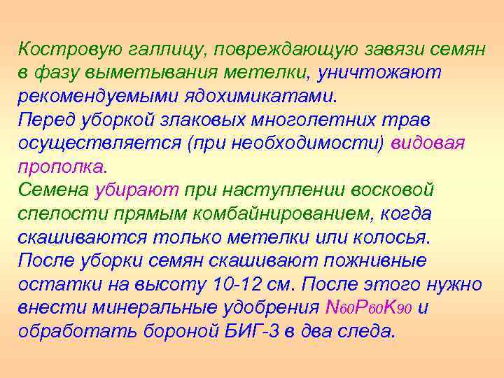 Костровую галлицу, повреждающую завязи семян в фазу выметывания метелки, уничтожают рекомендуемыми ядохимикатами. Перед уборкой