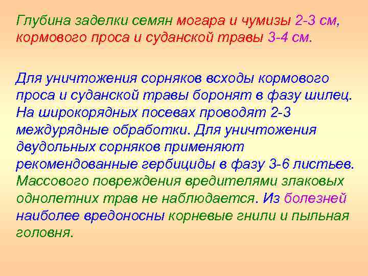 Глубина заделки семян могара и чумизы 2 3 см, кормового проса и суданской травы