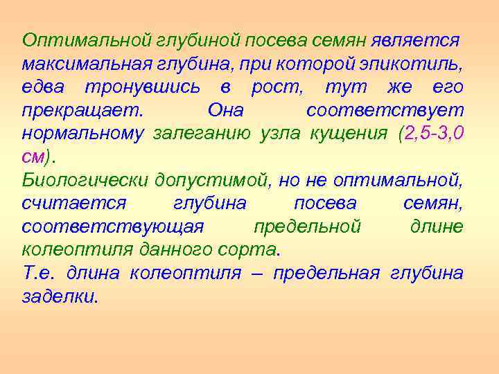 Оптимальной глубиной посева семян является максимальная глубина, при которой эпикотиль, едва тронувшись в рост,