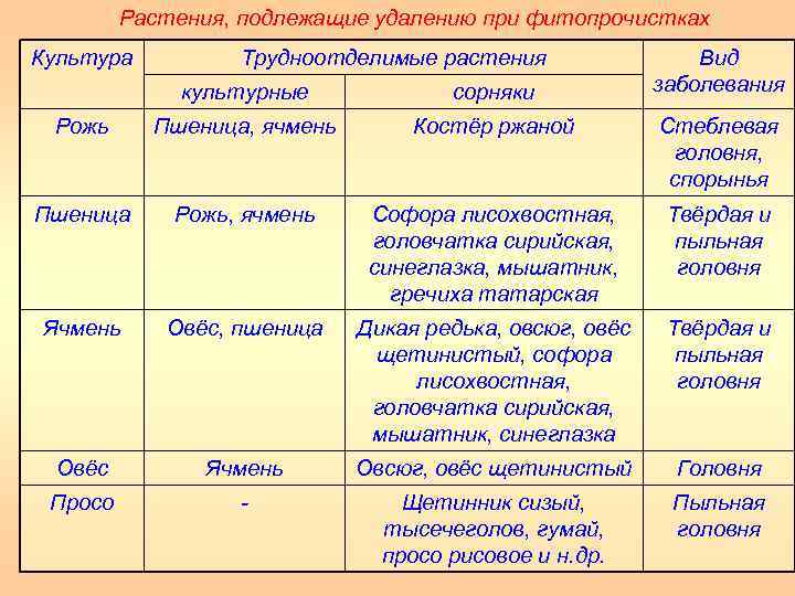 Растения, подлежащие удалению при фитопрочистках Культура Трудноотделимые растения Вид заболевания культурные сорняки Рожь Пшеница,