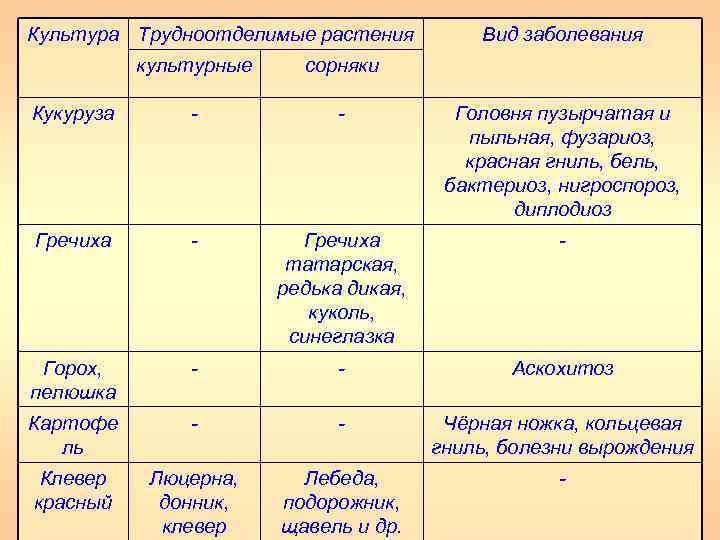 Культура Трудноотделимые растения Вид заболевания культурные сорняки Кукуруза Головня пузырчатая и пыльная, фузариоз, красная