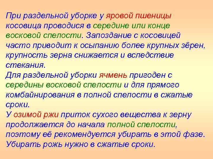 При раздельной уборке у яровой пшеницы косовица проводися в середине или конце восковой спелости.