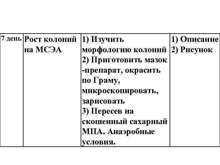 7 день Рост колоний 1) Изучить на МСЭА 1) Описание морфологию колоний 2) Рисунок