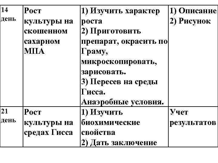 14 день Рост культуры на скошенном сахарном МПА 1) Изучить характер 1) Описание роста