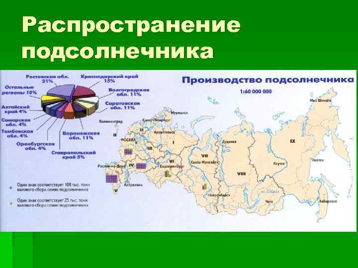 Распространение подсолнечника 