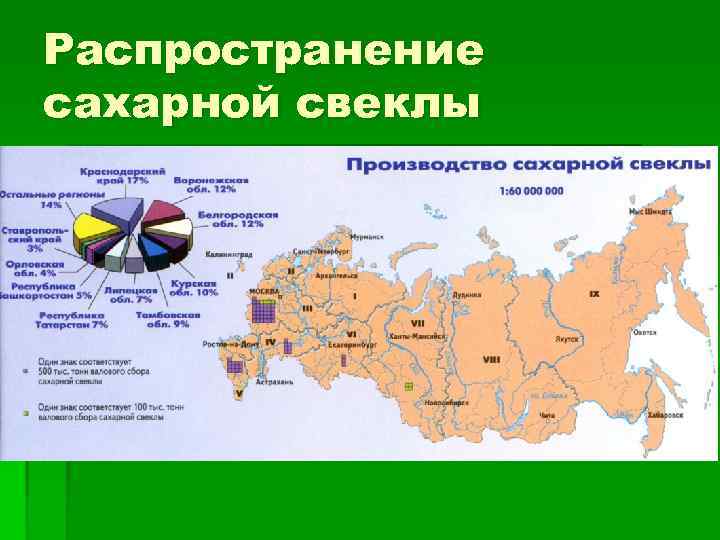 Распространение сахарной свеклы 
