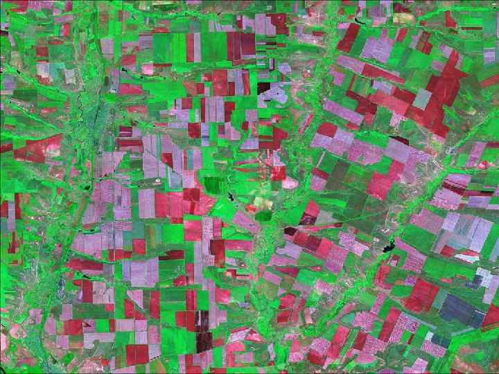 Формируется разный аграрный ландшафт 