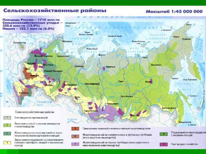 Сельскохозяйственные районы России 