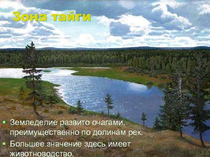 Зона тайги § Земледелие развито очагами, преимущественно по долинам рек. § Большее значение здесь