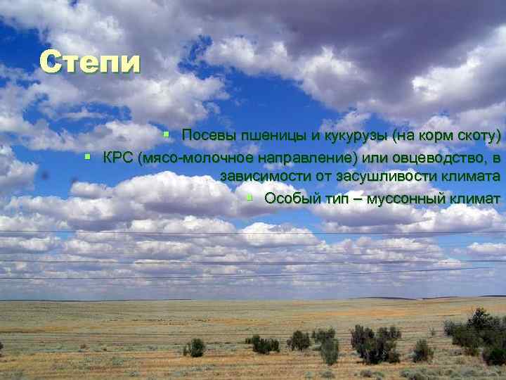 Степи § Посевы пшеницы и кукурузы (на корм скоту) § КРС (мясо-молочное направление) или