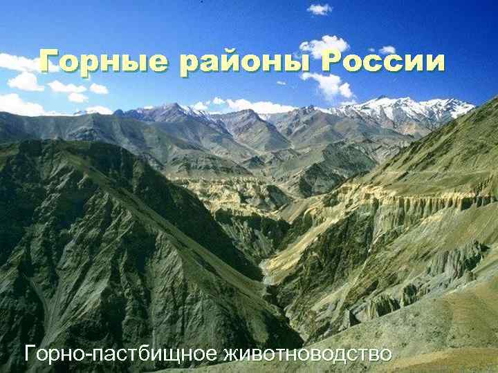 Горные районы России Горно-пастбищное животноводство 