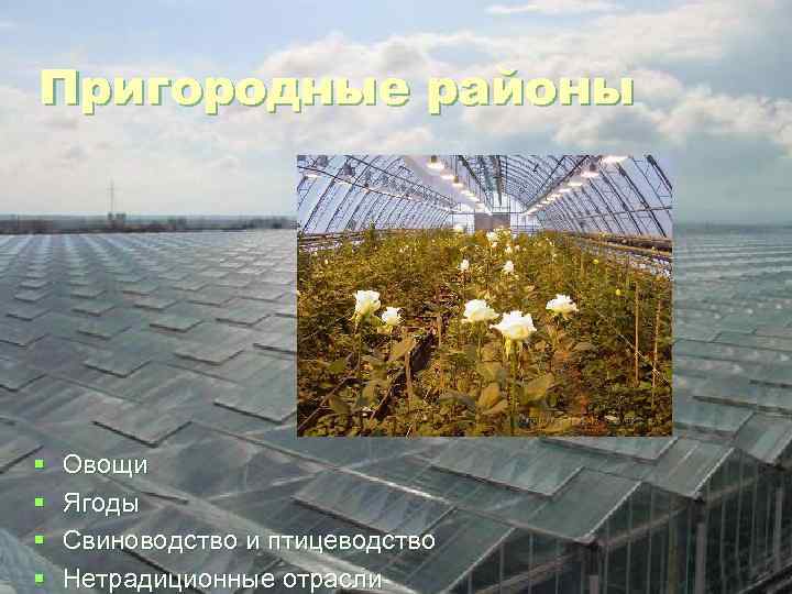 Пригородные районы § § Овощи Ягоды Свиноводство и птицеводство Нетрадиционные отрасли 
