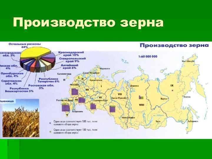 Производство зерна 