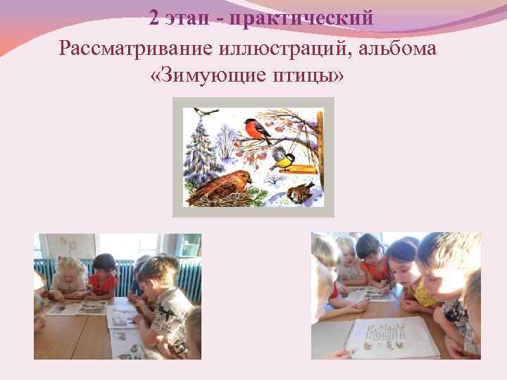 2 этап - практический Рассматривание иллюстраций, альбома «Зимующие птицы» 