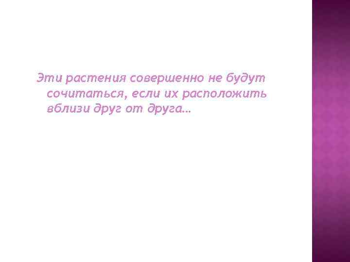 Эти растения совершенно не будут сочитаться, если их расположить вблизи друг от друга… 