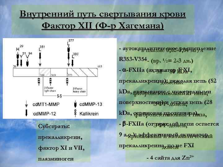 Фактор 12